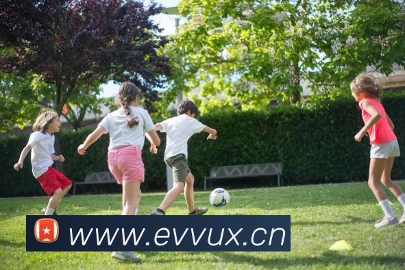 云开在线登录APP 体育赛事宣传图